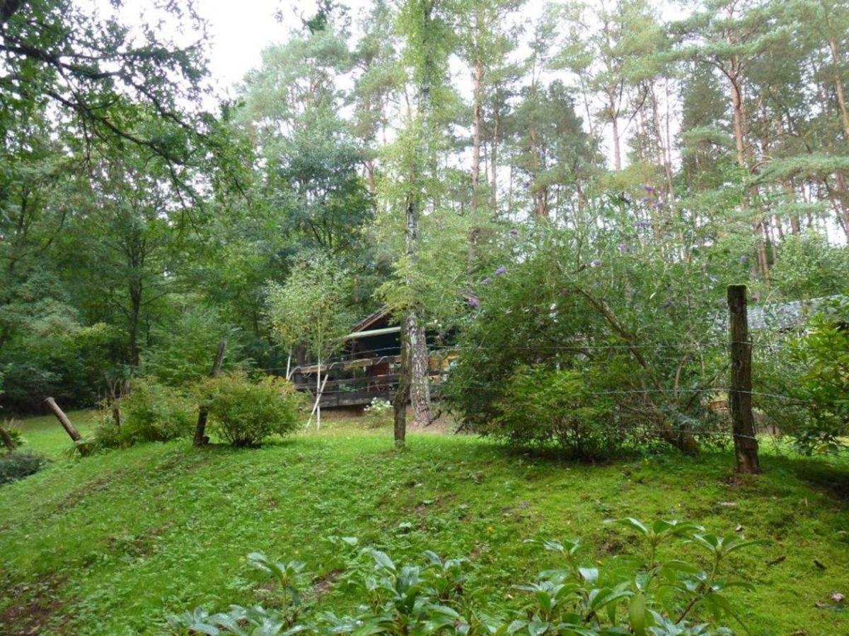 Cosy Chalet With Private Sauna In Bousseviller Zimmer foto